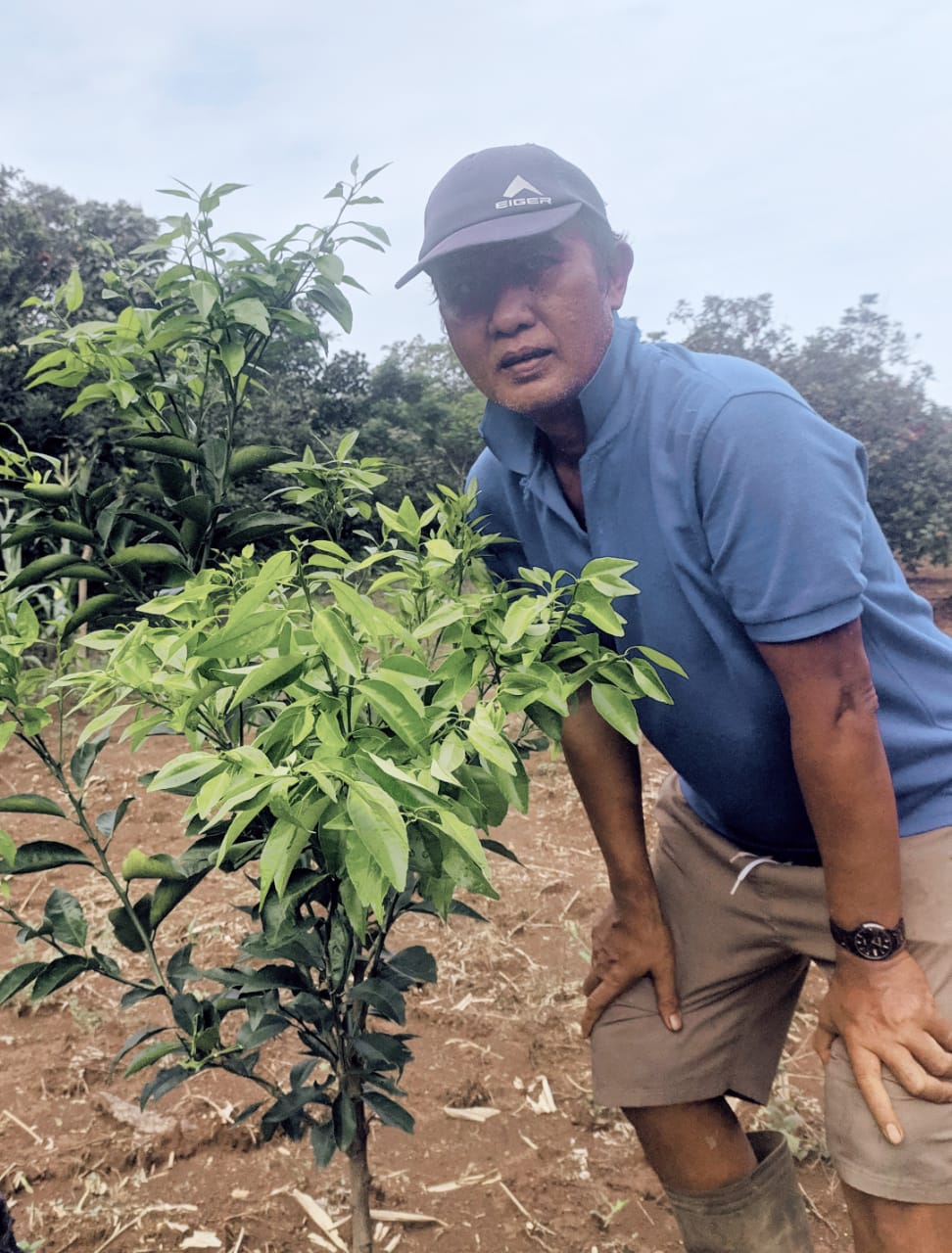 Sesat Pikir Gubernur Ridwan Kamil Canangan Revolusi Pertanian 4.0